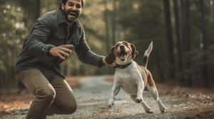 commands for training Beagles